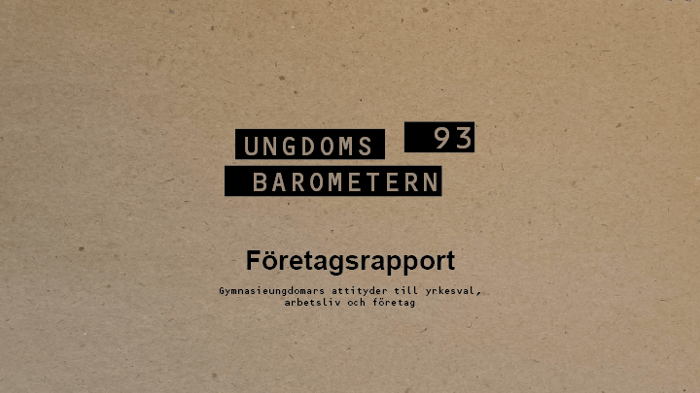 Företagsrapport 1993-2