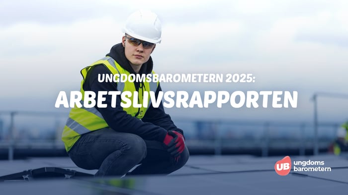 Omslag UB2025 Arbetsliv