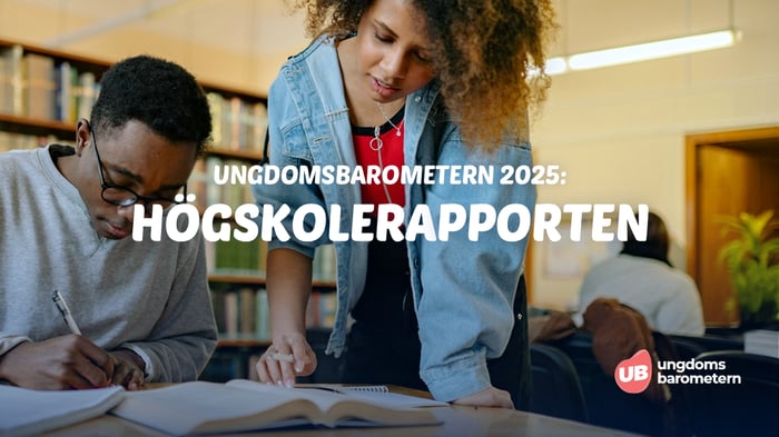 Omslag UB2025 Högskola