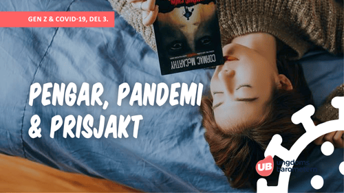 Pengar, pandemi & prisjakt