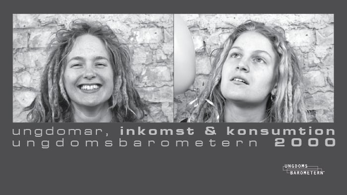 2000 inkomst och konsumtion