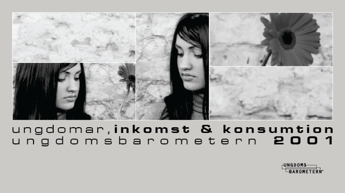 2001 Inkomst och konsumtion