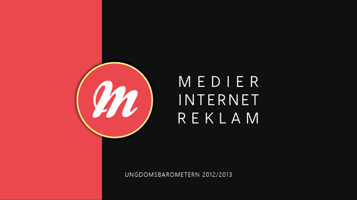 2013 Medier internet reklam