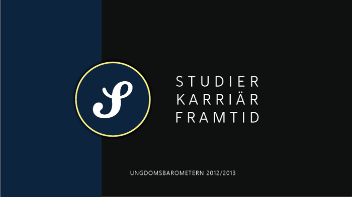 2013 Studier karriär framtid