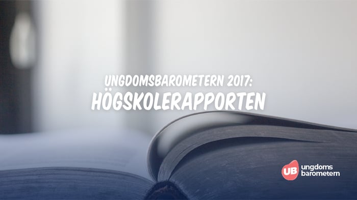 2017 Högskolerapporten