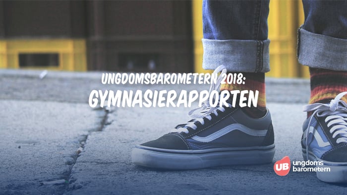 2018 Gymnasierapporten