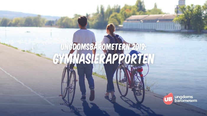 2019 Gymnasierapporten