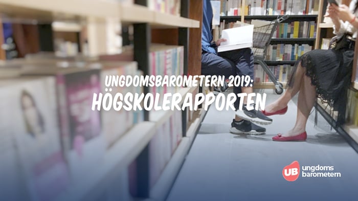 2019 Högskolerapporten