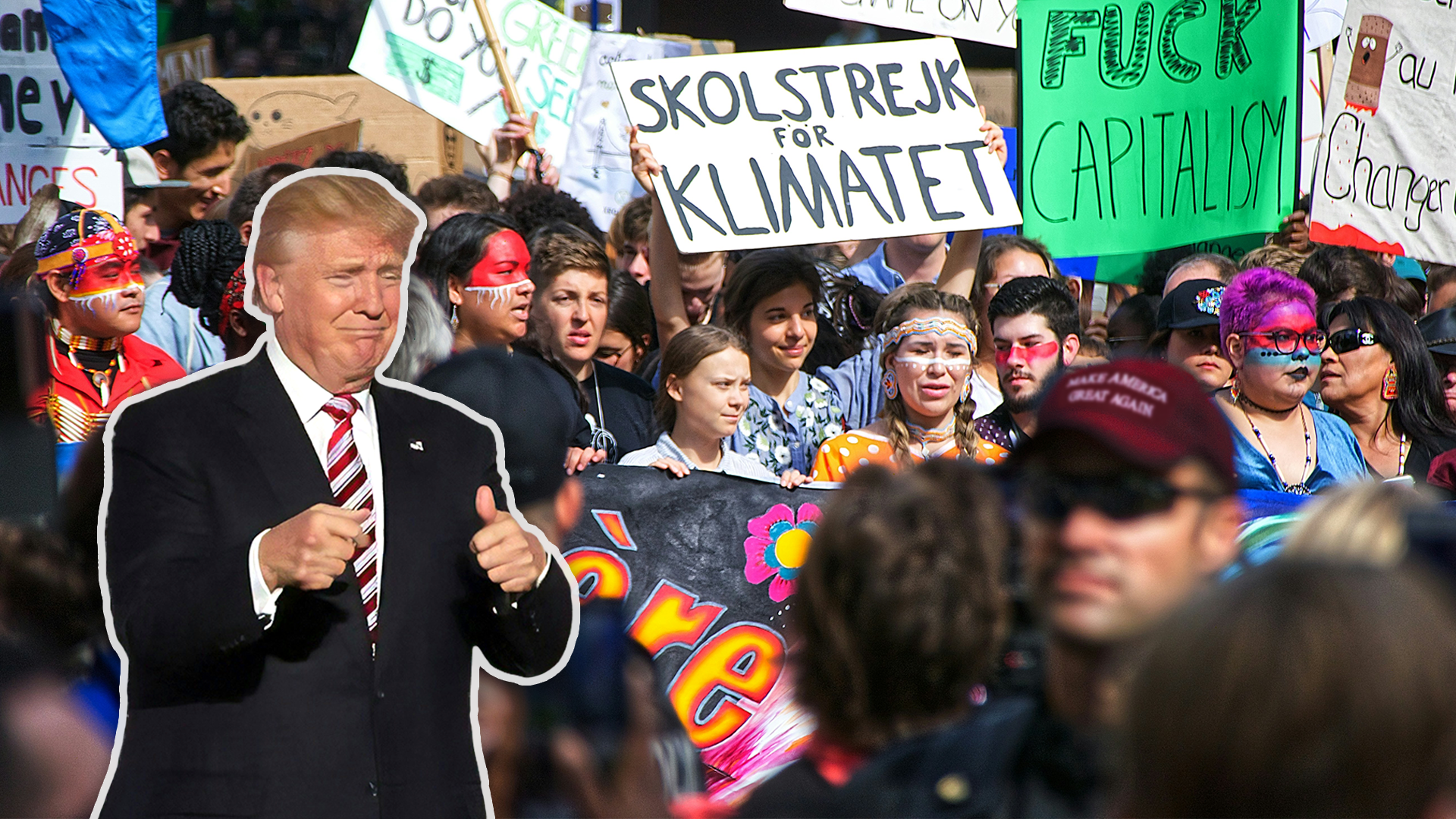 Webbinarium: Unga, demokrati och politik