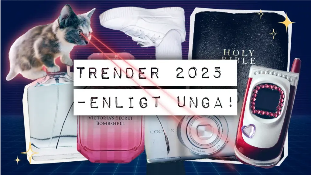 Trender 2025 – Enligt unga!
